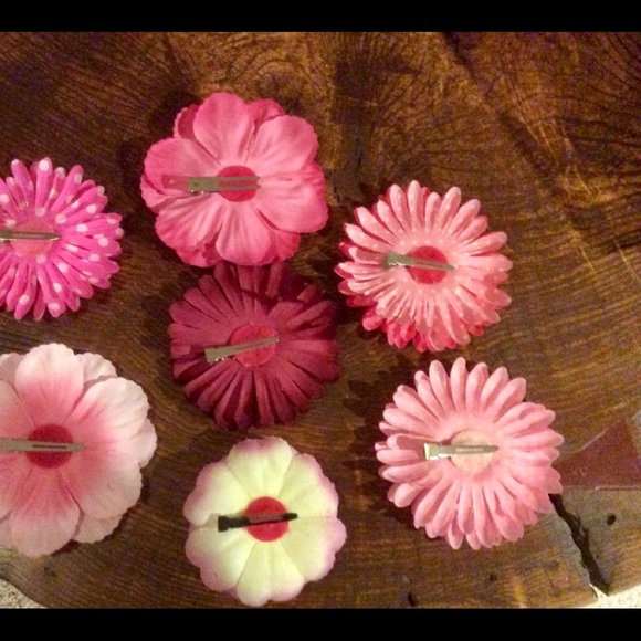 Hair Clips - Picture 2 of 2